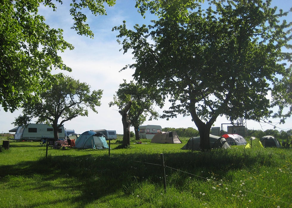 Zelte und Wohnwagen auf einer Wiese mit alten Bäumen auf dem Campingplatz MiO in Ottendorf bei Chemnitz an einem sonnigen Tag