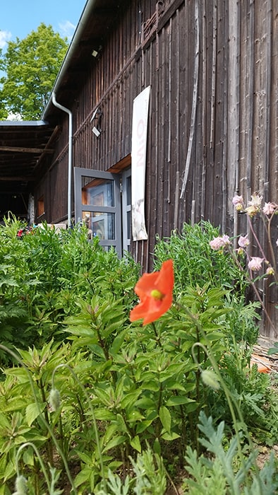 Holzfassade mit offenem Eingang und bepflanztem Beet mit roten und rosa Blüten auf dem Campingplatz MiO in Ottendorf bei Chemnitz. Im Hintergrund ein senkrechtes Schild mit dem Schriftzug 'MiO'.