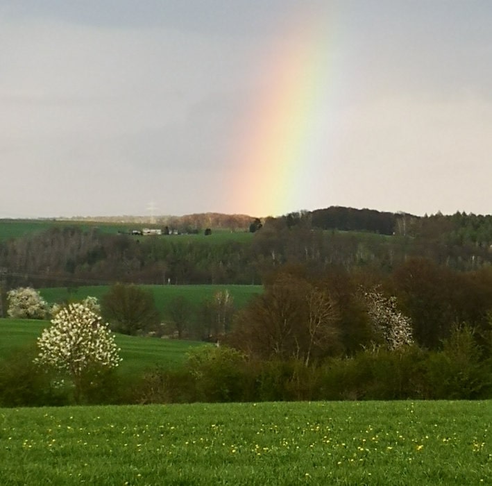 Regenbogen über grüner Hügellandschaft mit blühenden Bäumen