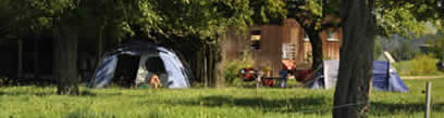Blick über die Streuobstwiese mit Zelten zur Esswerkstatt